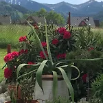 Jumper * Zakopane