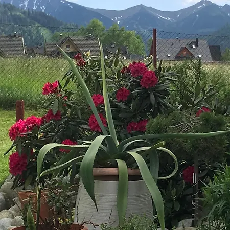 Jumper * Zakopane