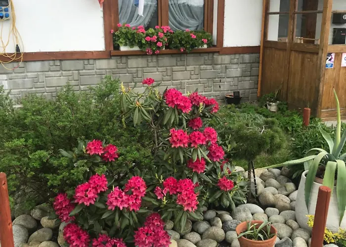 Jumper בית נופש *