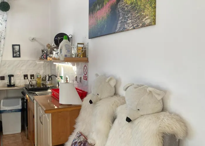 Jumper בית נופש זקופאנה